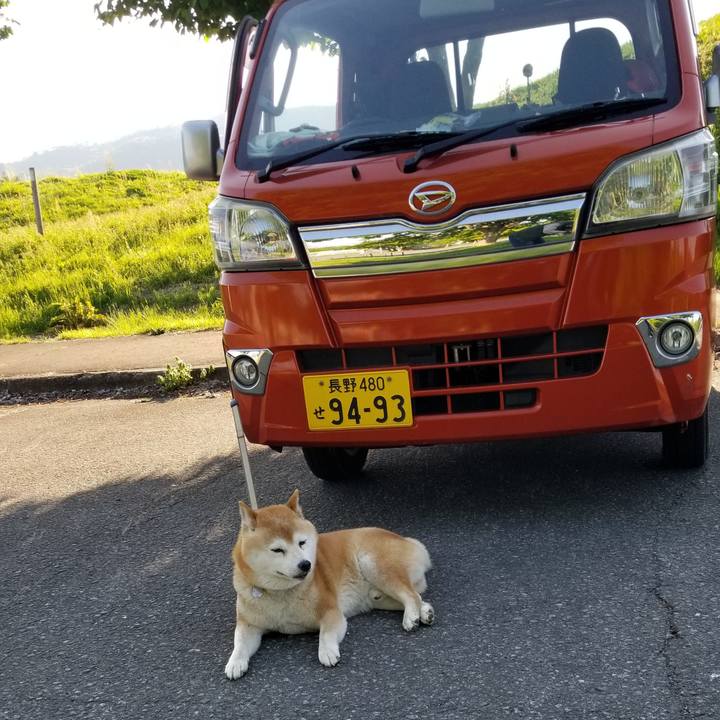 E742775f d762 476f 965c 2868af8c972c 1652860279750