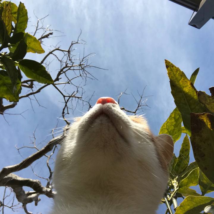 E7427b6b 0d15 4e1f 92bc 172a59ac56e2 1520392785374