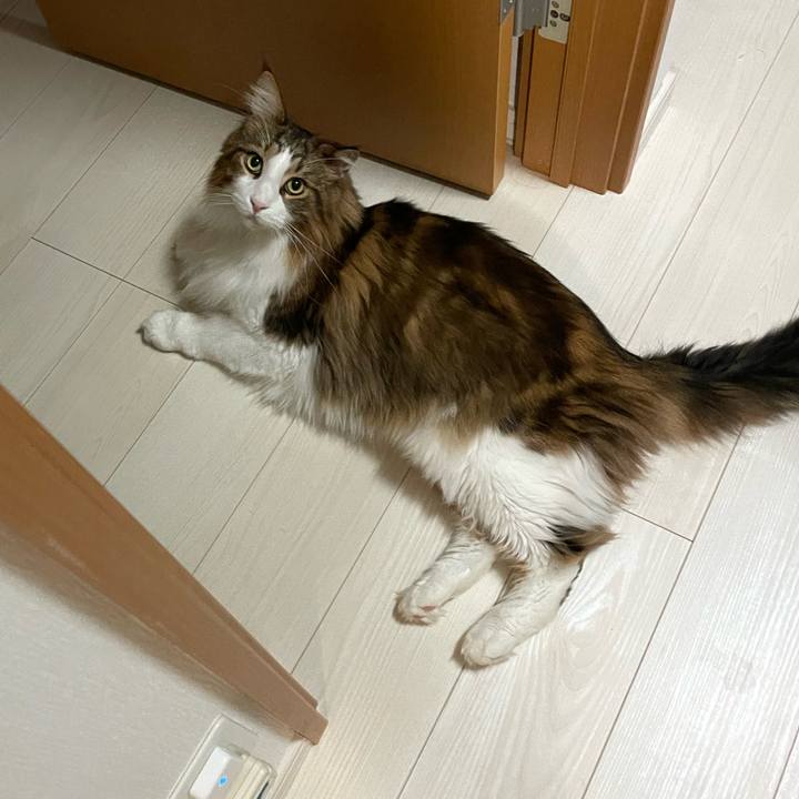 E742e25f c89c 445b a88a 442b54361d68 1703099545887