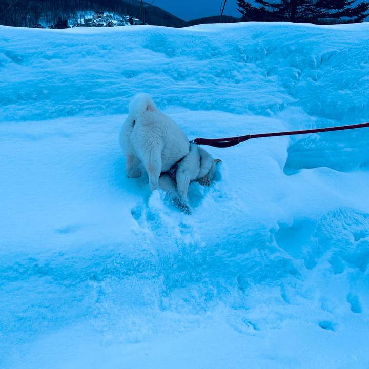 E74330a9 fb9f 449e bf66 7f03b9efb86d 1708122789319