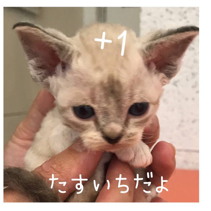 E7438596 5261 4d27 b5b2 c459fec0429e 1577176551779