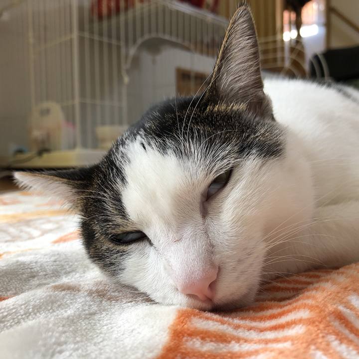 E7438c20 994e 4dbd bcef bce674408eb8 1634863597708