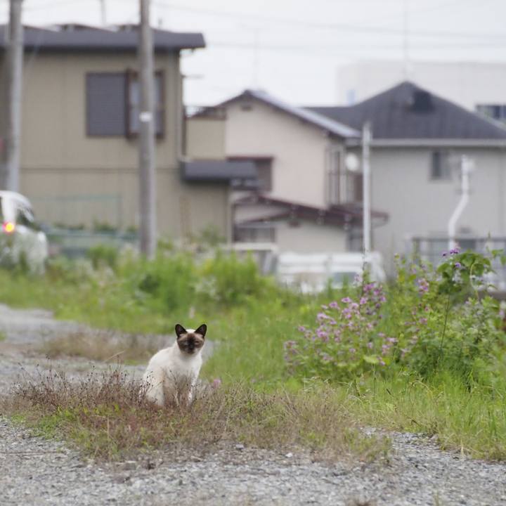 E743957c 6306 4e88 9481 58a5cecab87c 1625716071016