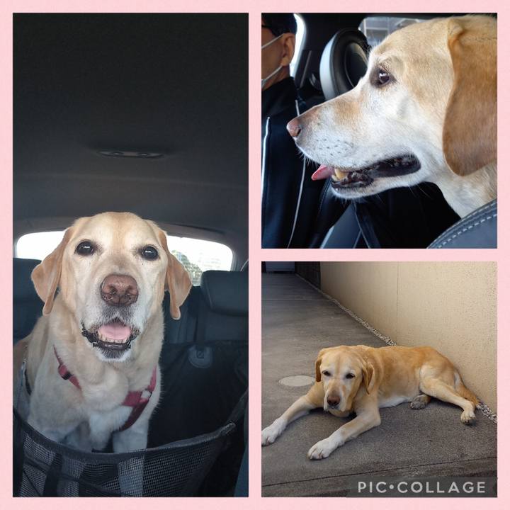 E743bf7a 10ca 4f7d 96ef 09f65d0912cd 1681039241849