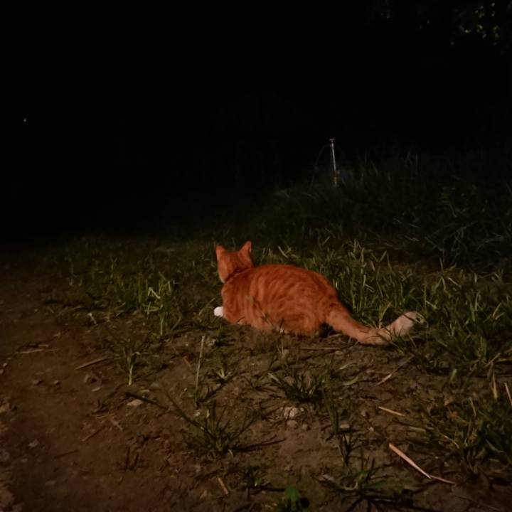 E743e19b 10bf 4756 934c 9cee5feaf546 1600513761648