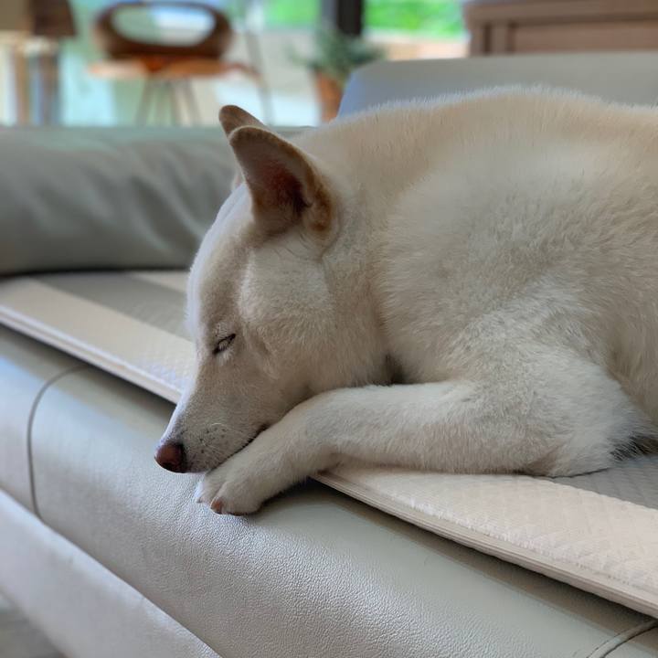 E743ec6a 603e 41e3 9ab3 fe8636f5aa6f 1571023209739