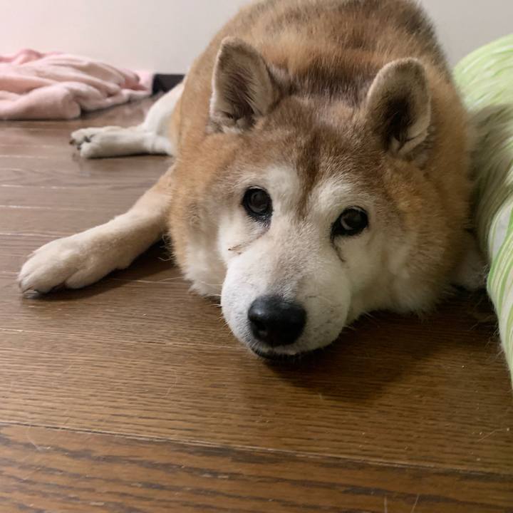 E743f2c5 0403 4ff5 b832 cd677f1d8044 1633615577103