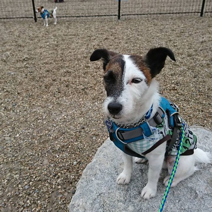 E743fcad 2d02 442f 9f98 a10b7a0ca9e3 1556663827180