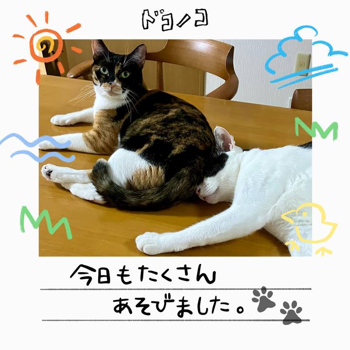 E743fdc1 3d25 4c65 9053 aec4829cf6c0 1755436356967