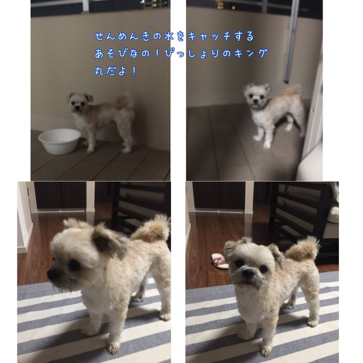 E7440a4d a1f7 4537 b95d f13922d0f8b9 1527509634383