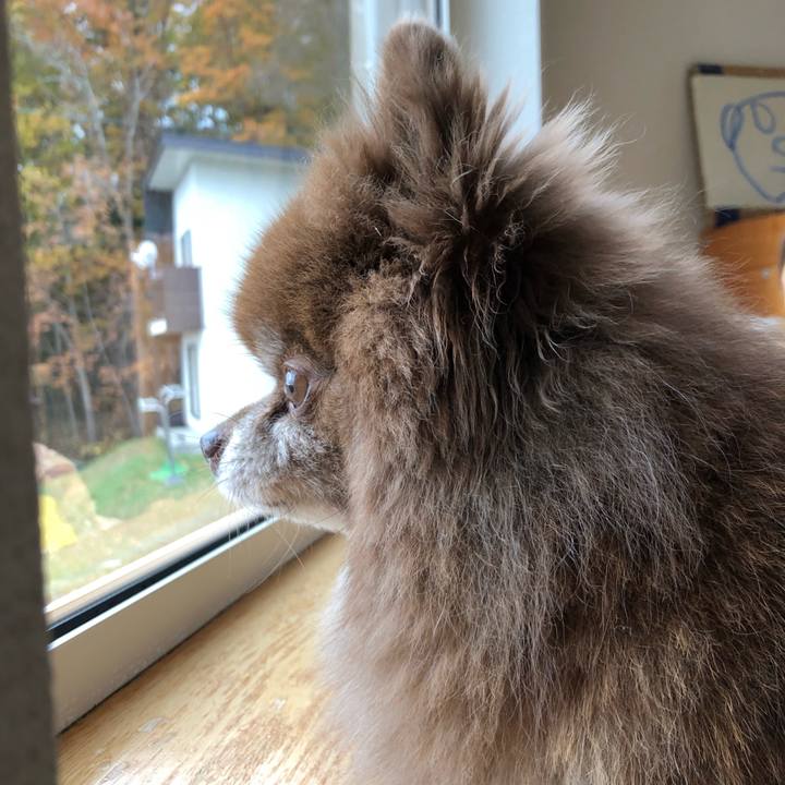 E7448045 521f 474c b4a2 43cd76cb5095 1573218818361