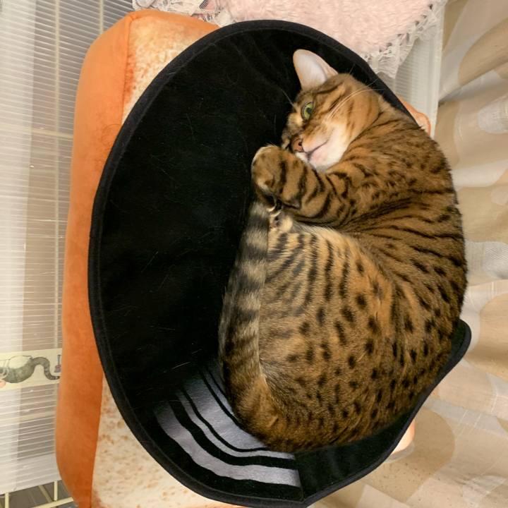 E7448204 f71d 495d b74d 798c1f003cf7 1606086450555