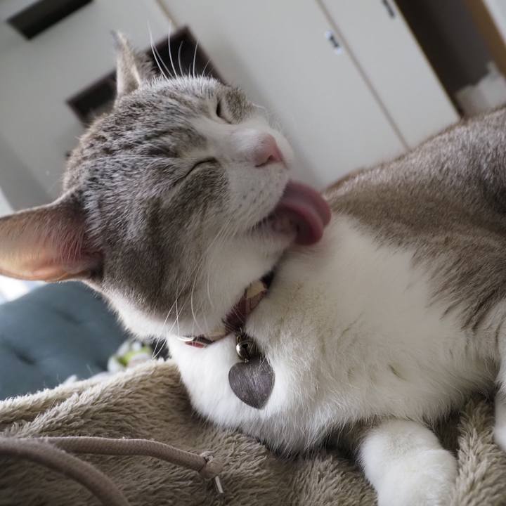 E744a700 e688 4322 86a4 e8a5f3a62716 1639896089588