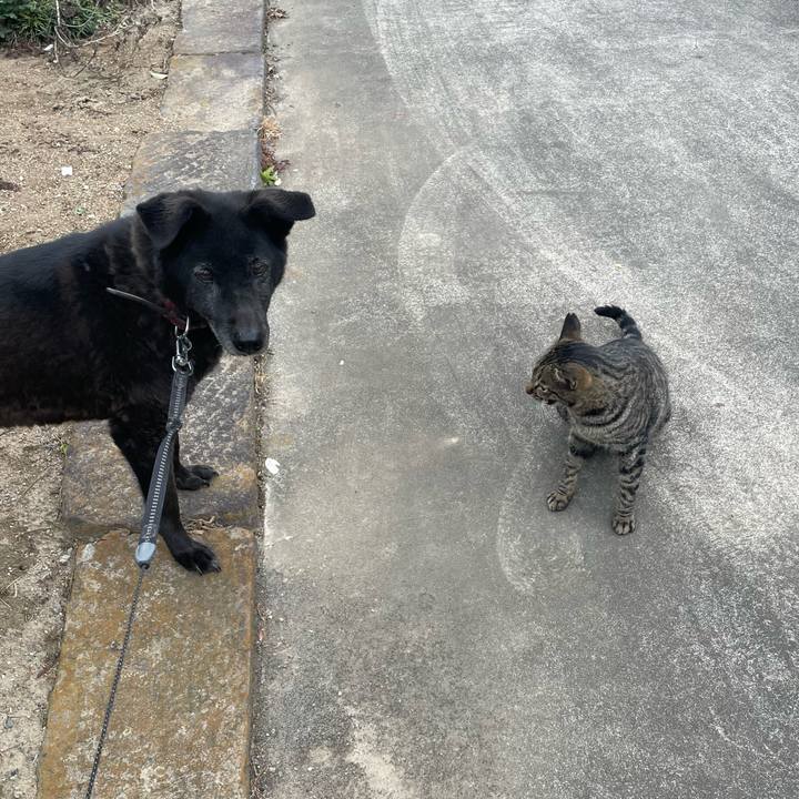 E744b944 9342 4bef 89c9 febbf4f5a747 1680827937578