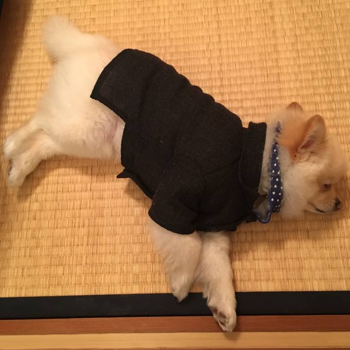 E744cf74 2e15 48d5 9eeb 1743c01ca2ff 1551007575898