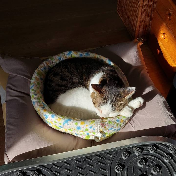 E744e884 2dc8 4466 80e9 132bf43fddf2 1636847108896