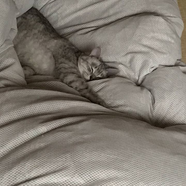 E744ea3a bd22 4893 99a5 e9cd6976e257 1539951695355