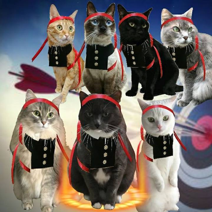 E744f775 609b 4f31 97d6 de83bb6bc095 1544702112776