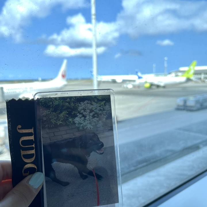 E7452a5d 32a1 46ab 8169 1175012bc993 1741658197084