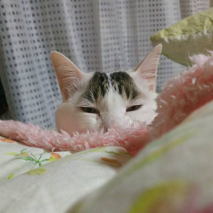 E7452d67 189b 4edb 9829 1e8e51aa9e18 1520647418005