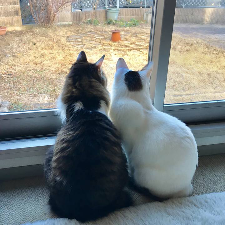 E74533b7 a009 4a93 a546 664925020fcc 1518588892149