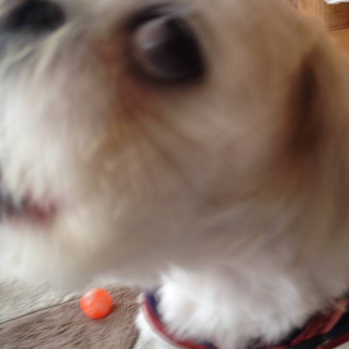 E7458391 44f2 4c4d 91a6 743e6106f7ae 1524001378175