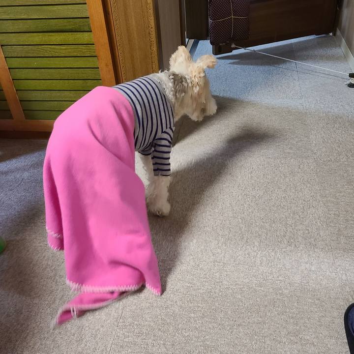 E7459efd 2470 45ba 9c1c ec059611fd60 1669088673786