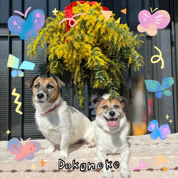 E745a7ef c36f 4b08 bef0 e70558891a39 1711013881086