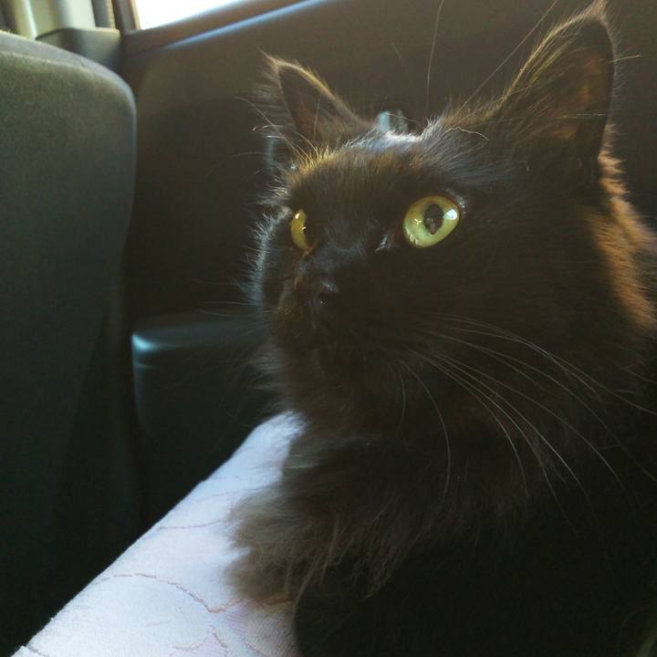 E745b72d 534a 484e a874 b7c60ec30314 1514959628544