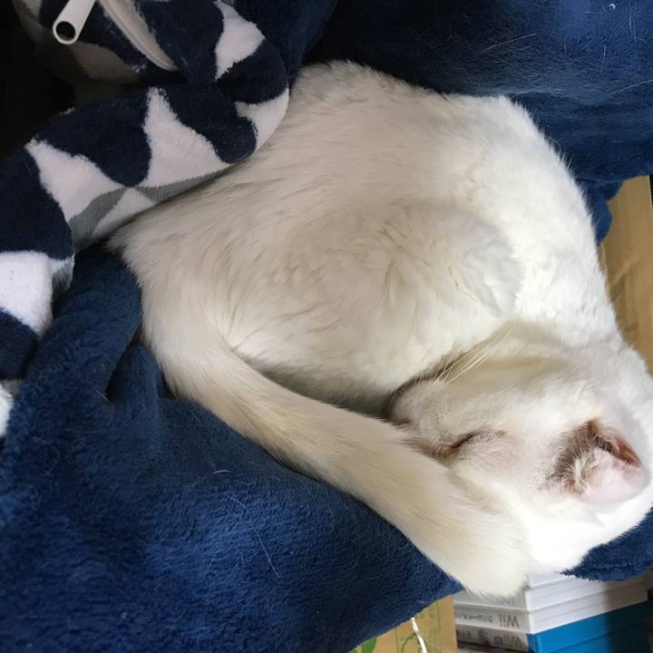 E7464566 7ca0 4902 80e1 3b46fbf88d56 1539166775549