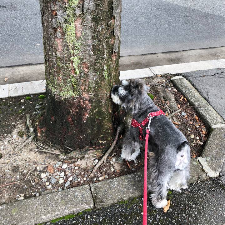 E7464f24 84c6 4659 b7af 4111980f9d99 1537588154736