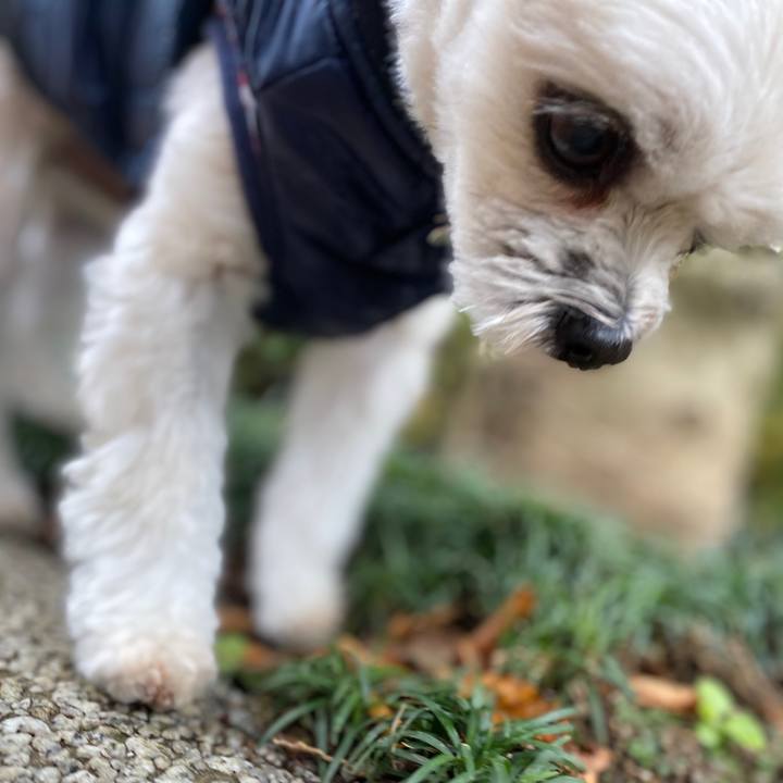 E746501d b227 43a5 88c2 9f7dcbc63b7a 1576579925263