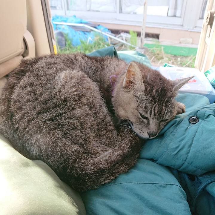 E74654ad f632 43dd 9399 ae3928db38c9 1590913233242