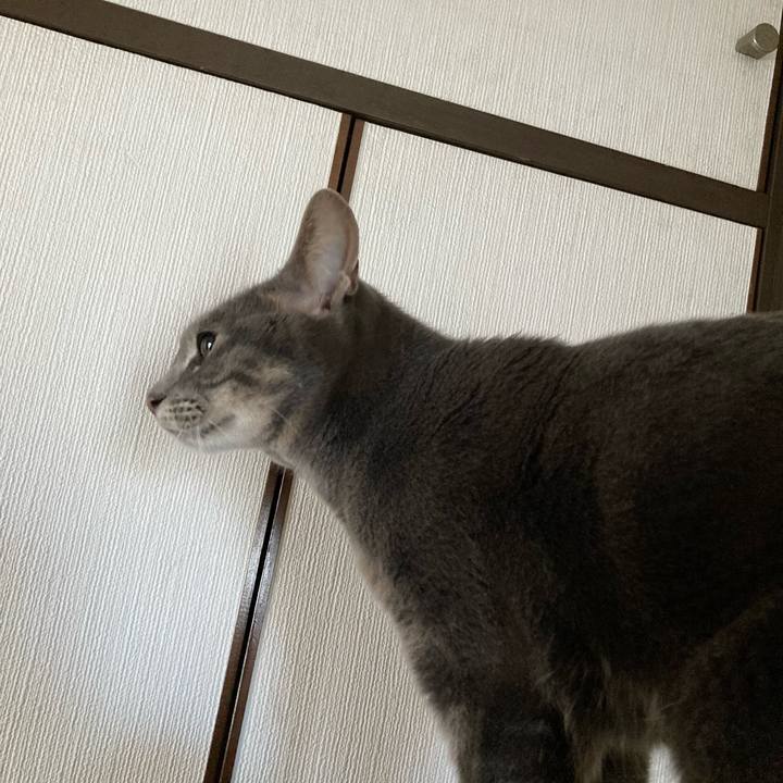 E7465683 7a43 41f6 bf21 5ac97fe2fa62 1646528108387