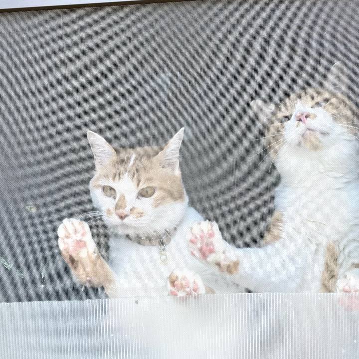 E746a01d ff03 4edb be78 742ec90317b6 1751525115719