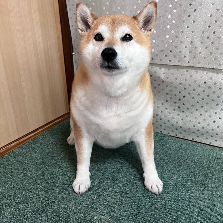 E746c382 dc43 47f3 ac8d 460837c45cb7 1685522306339