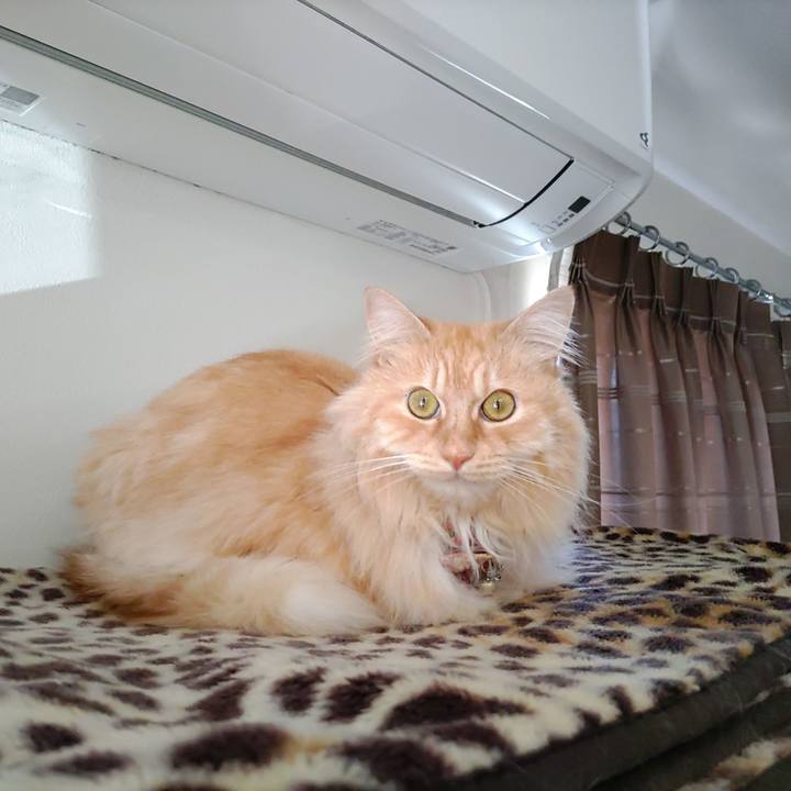 E746c3c1 09f8 4b36 9689 6ca8f42bc291 1684888492607