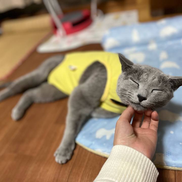 E746ca9a d6de 4606 ac6d b3228f5fd60c 1641994403368