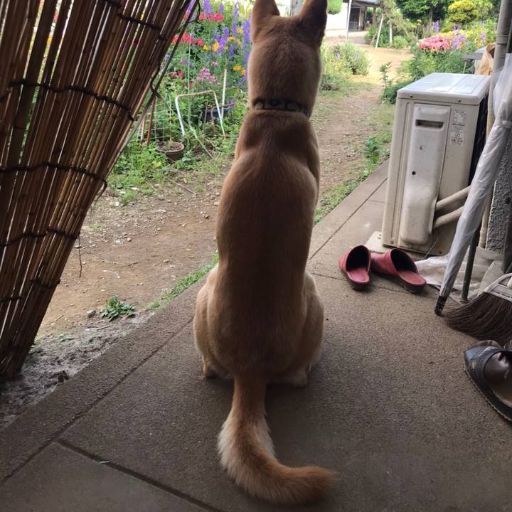 E746e85a 6ada 4af4 a575 10b1c0c3e4ad 1591253813207