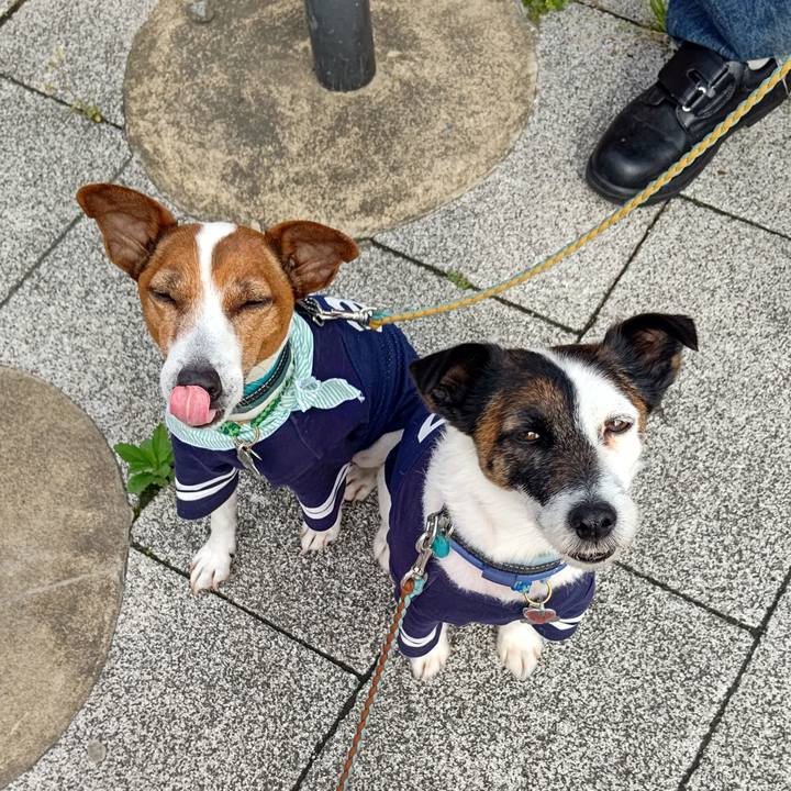 E746f16d 1001 4115 9410 6b5f33308a0b 1714088338200