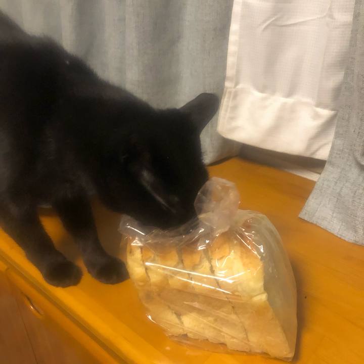 E7472386 5ce4 4671 a0fa c6ee9bef11fe 1617796680360