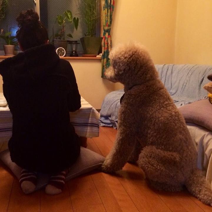 E7474e9d 812a 4f1c a0a3 8b6df6a324c0 1590816635326