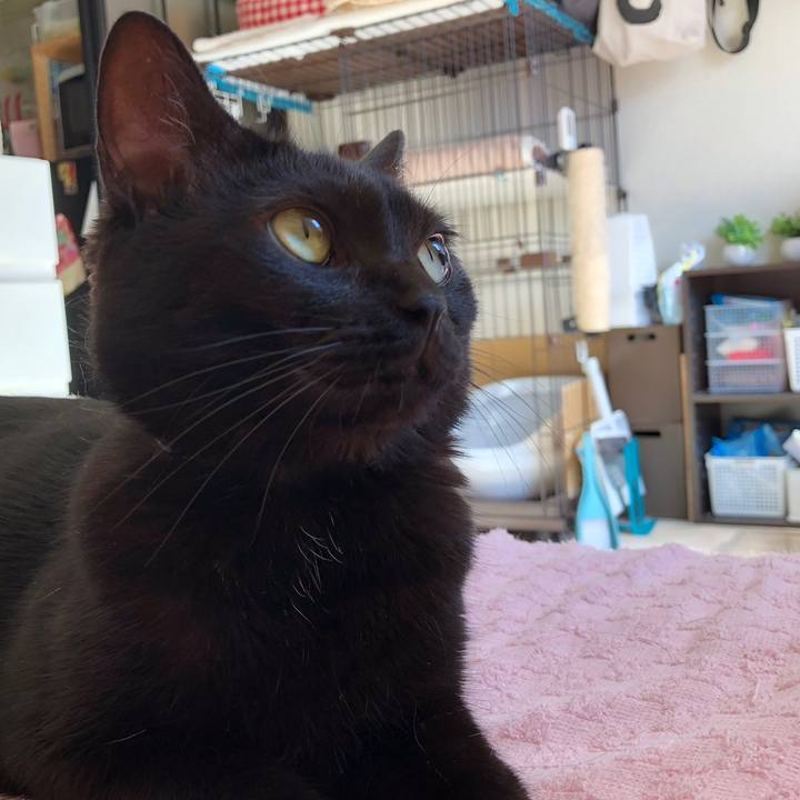 E74765d2 d489 44b0 ae90 1b2cd49e7aea 1558521149982