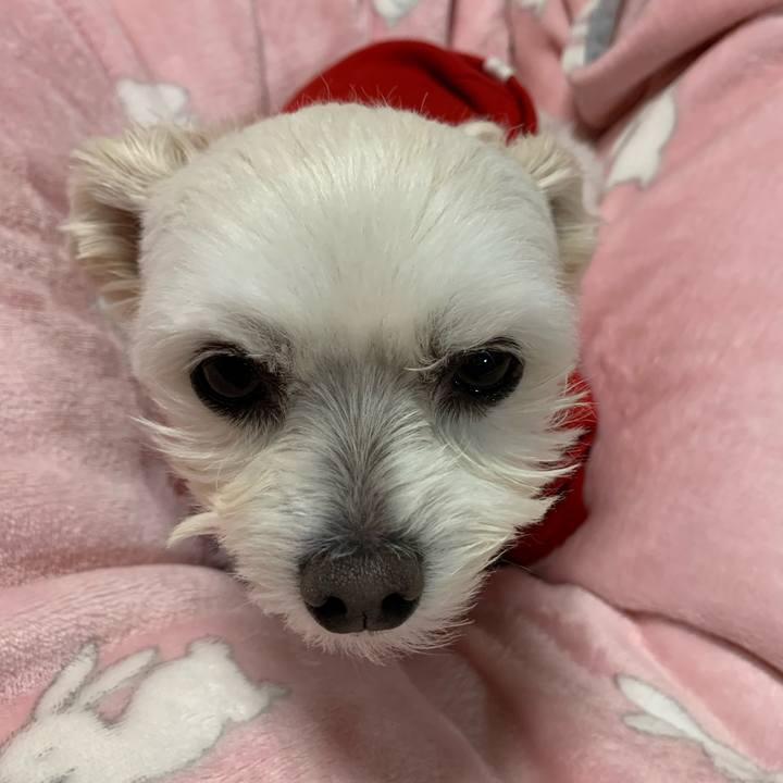 E7476fb6 b6ce 4bd8 9f3b ddc0b118512b 1606303360919