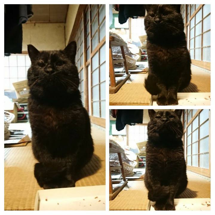 E747725e 4588 4c9d 84c4 895446887ffe 1617290196538