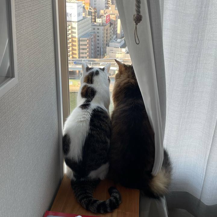 E7477c1e 3ce2 4fc2 9b9f 137322982fa8 1769384118302