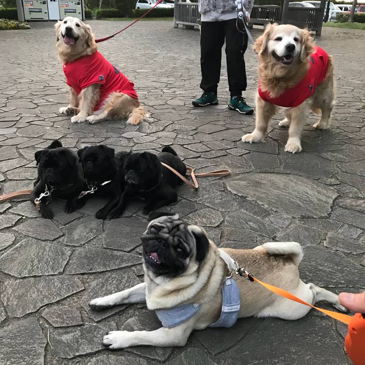 E74822f4 7d14 48b9 924f 26a56035c1be 1525339815079