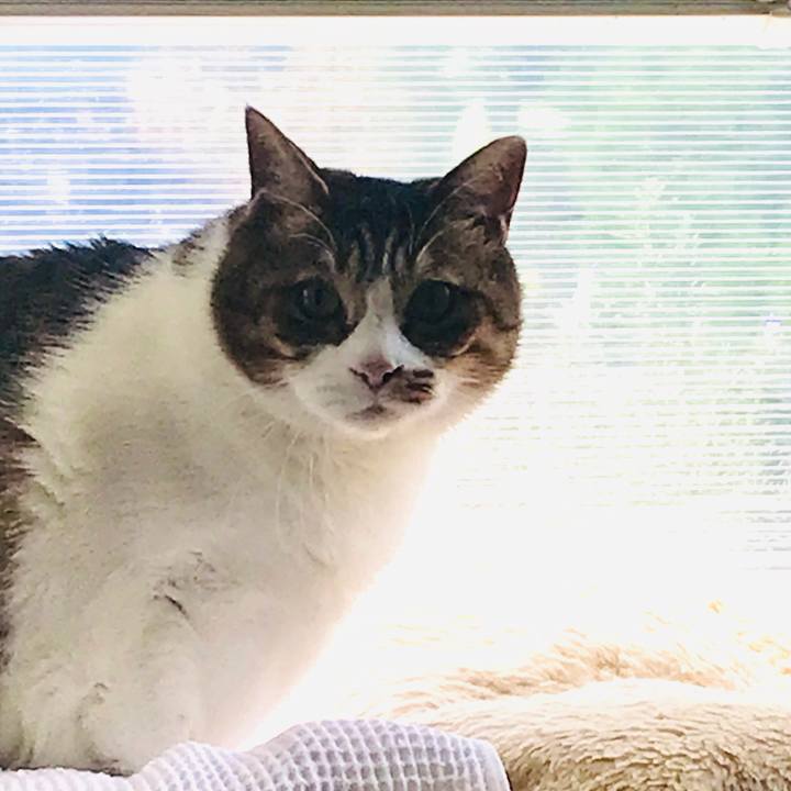 E748282f 12c8 4aa5 8ce4 539b081953a6 1649638057158