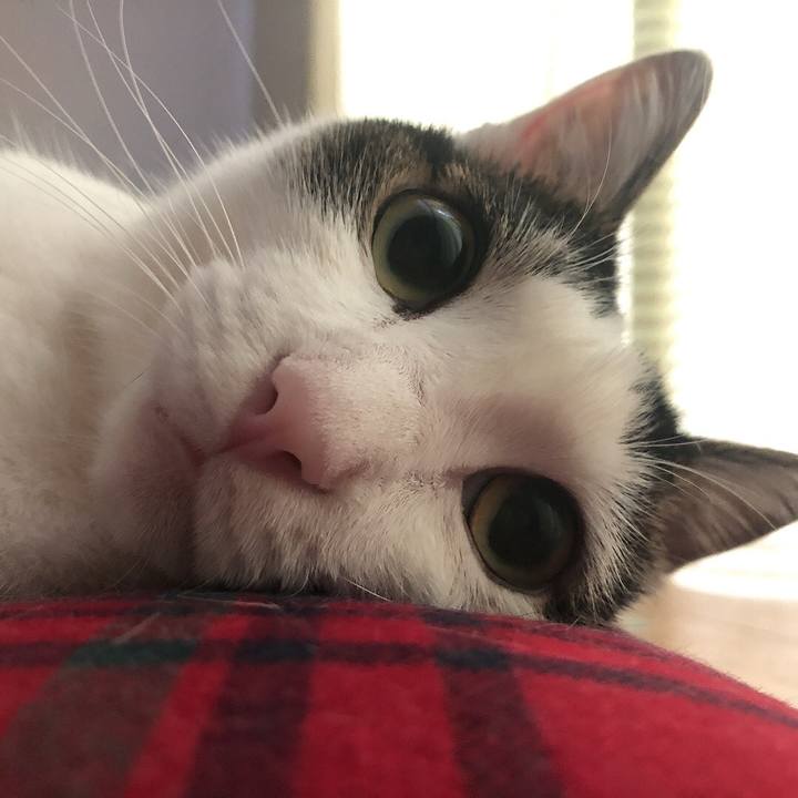 E7484e1b 121f 4e15 8339 5ea2c2f1b59f 1663487296088