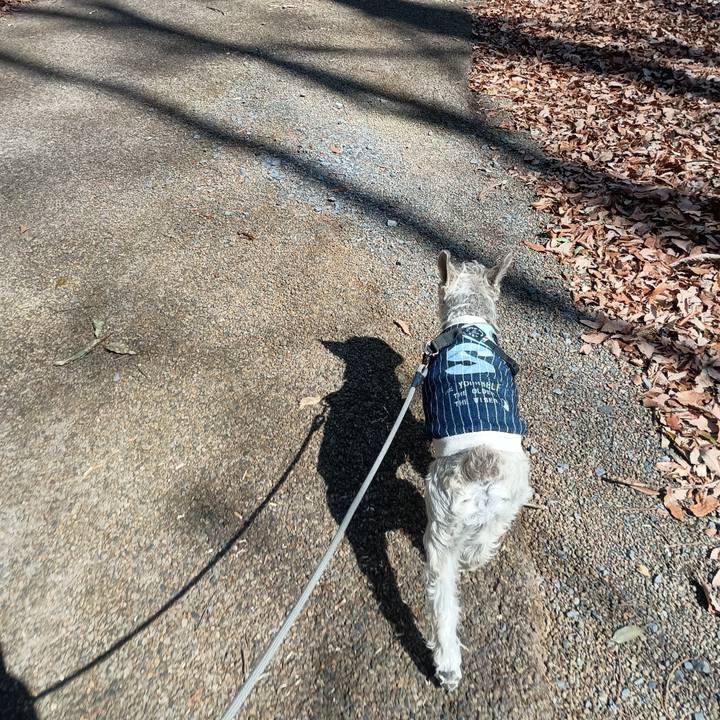 E748936d b7fc 4d9a 8a3e cbf8ef649274 1772883623194